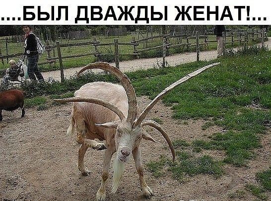 Оь .был дважды женат!...