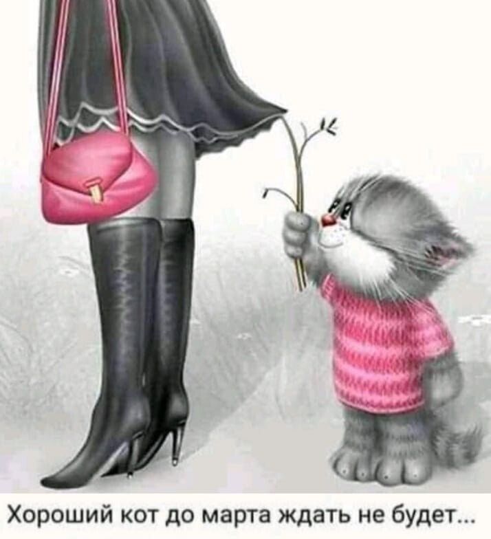 Хороший кот до марта ждать не будет