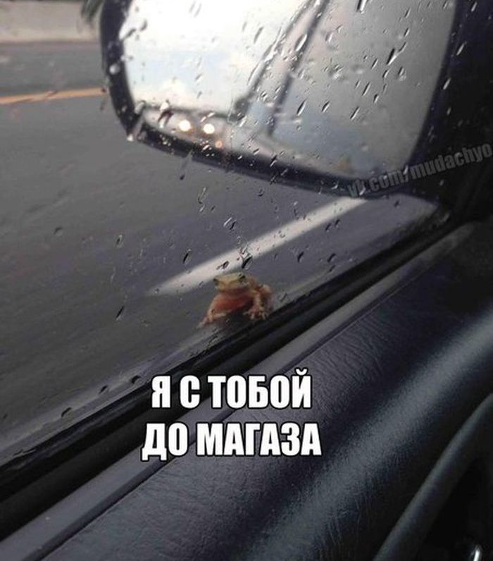я 0 ты до МдГдЗд