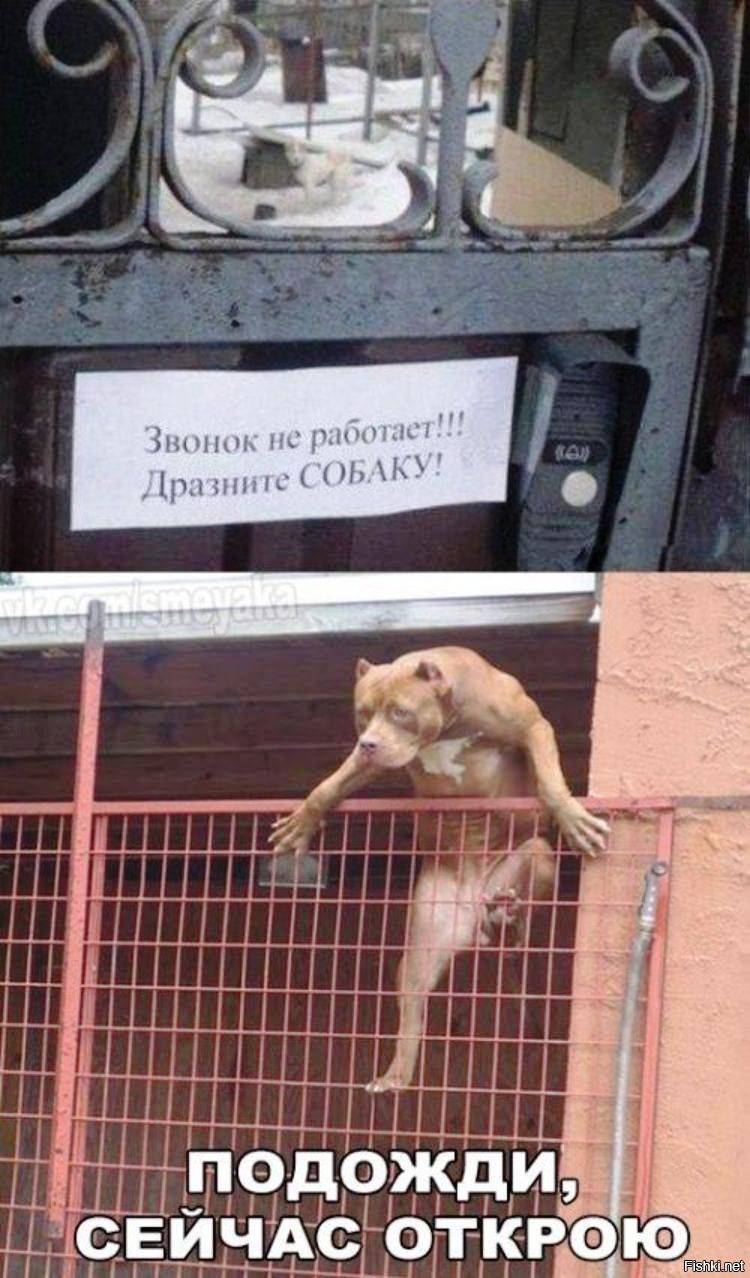 Шчпш нс дид лс ЦМ шлпс 1 Ю НРДР жд Н йЧАсФ ТКРэю