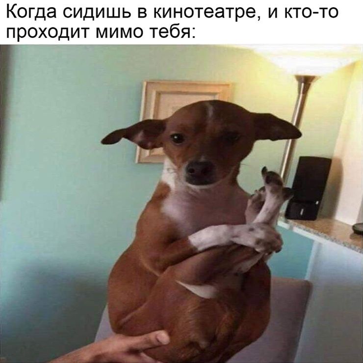 Когда сидишь в кинотеатре и кто то проходит мимо тебя