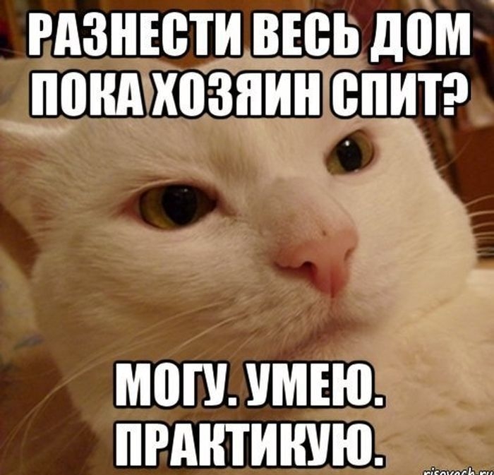 гдзнюти вюь дом понд хозяин виш могу УМЕЮ ПРАШИШЮ