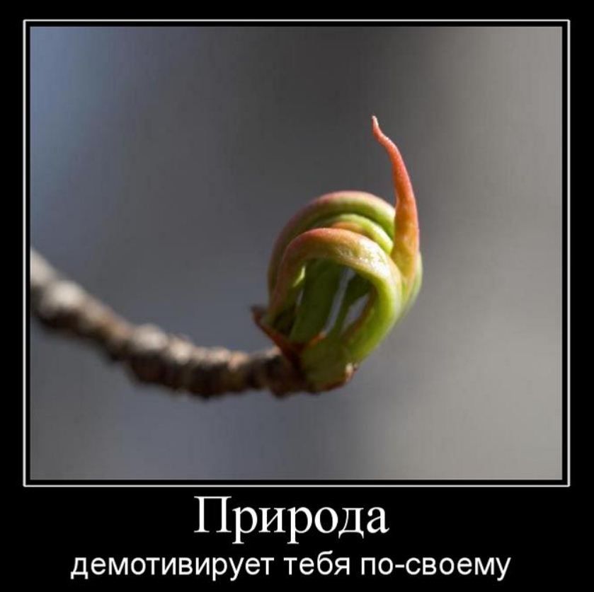 Природа демотивирует тебя по своему