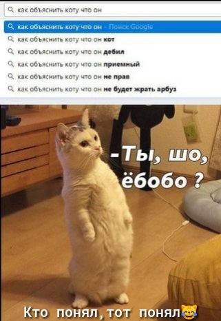 Кто понял тот понял