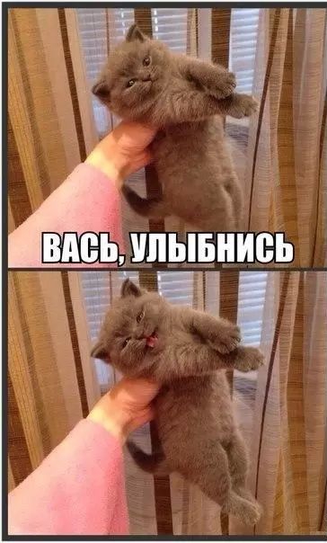 Е Ё 4 1 4 5