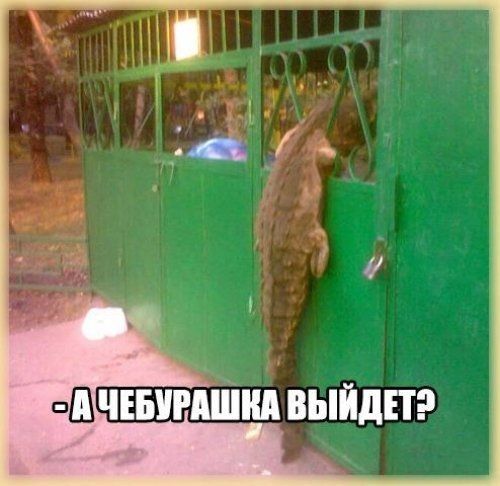 ашчшгпШнд выйдпэ