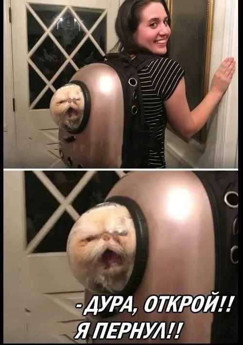 дут икрой длыатп