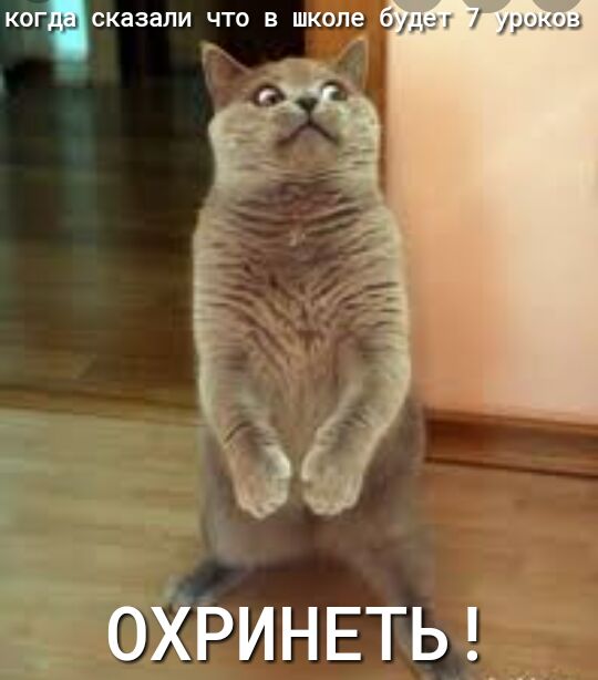 ОХРИНЕТЬЪ