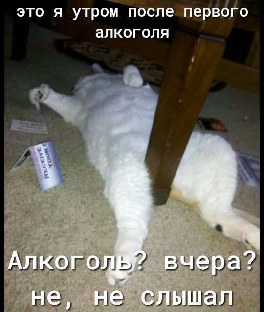 это я утром после перв Го алкоголя