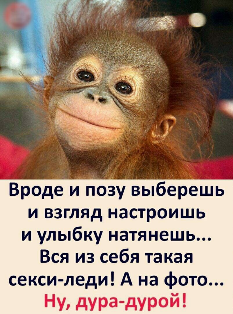 Вроде и позу выберешь и взгляд настроишь и улыбку натянешь Вся из себя такая секси леди А на фото Ну дура дурой
