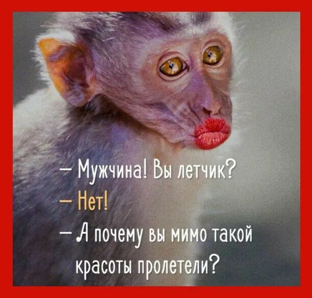 Нет А почем красоты