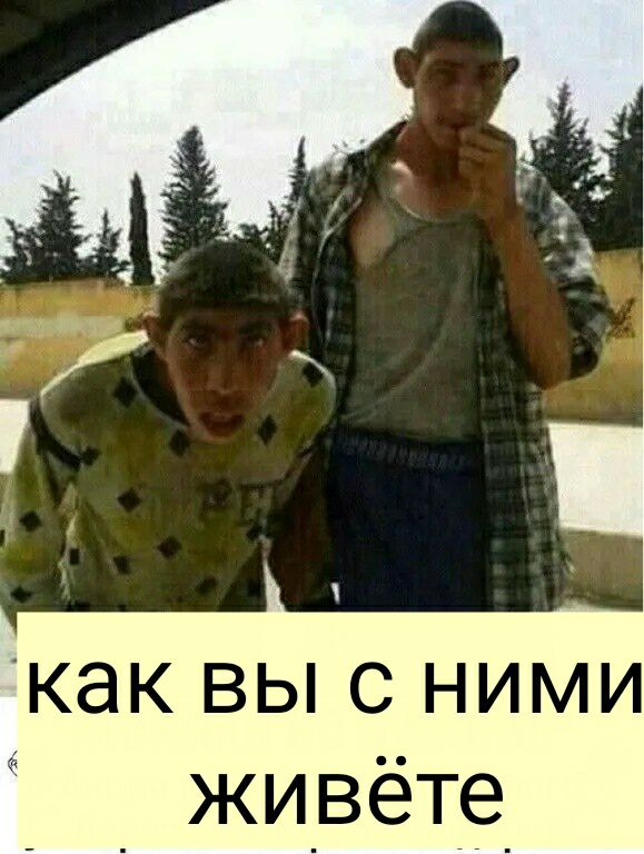 как выс ним _ живёте