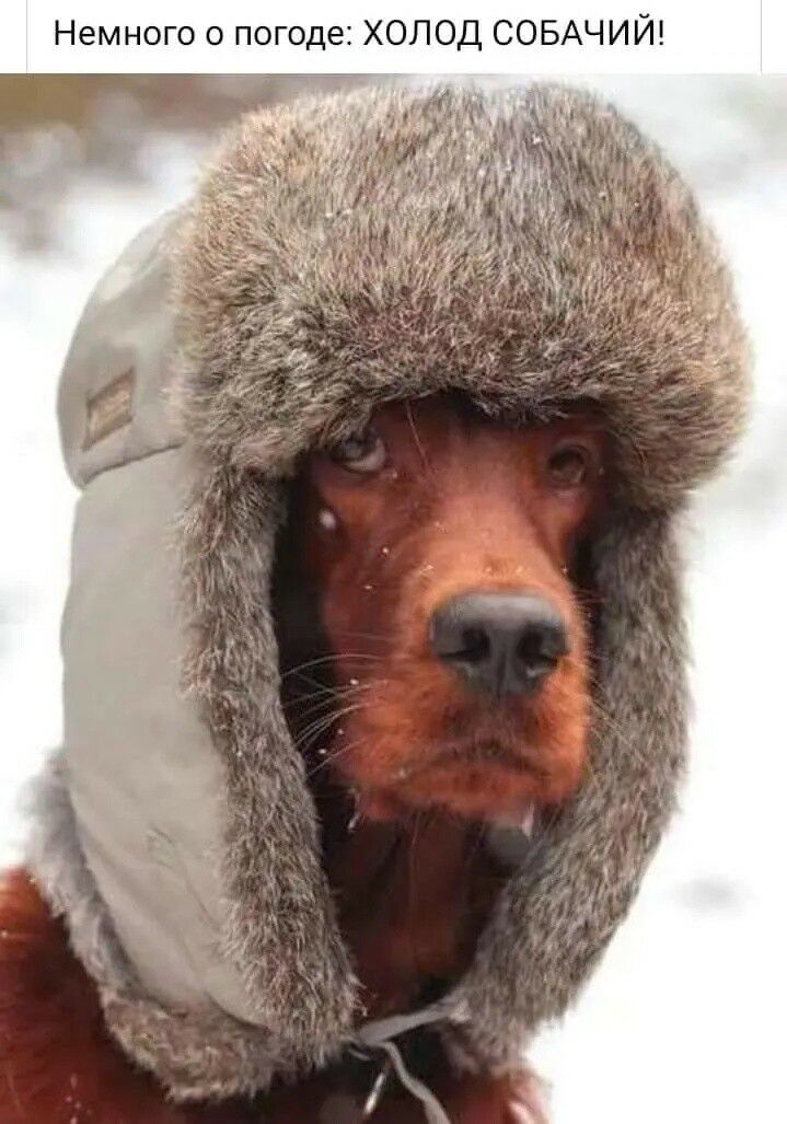 Немного о погоде ХОЛОД СОБ ЧИЙ