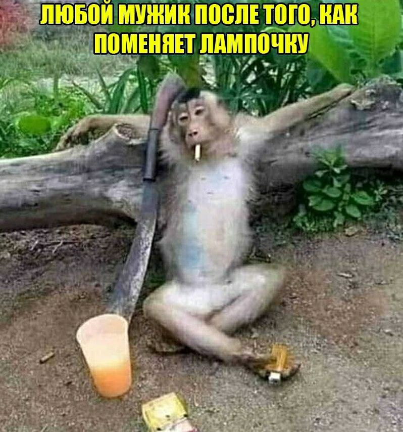 ЛЮБВИ МИНИН ШШШ ТПП