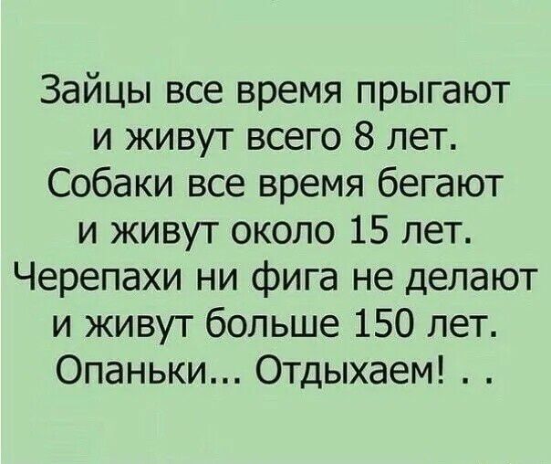 Зайцы все время прыгают и живут всего 8 лет Собаки все время бегают и живут около 15 лет Черепахи ни фига не делают и живут больше 150 лет Опаньки Отдыхаем