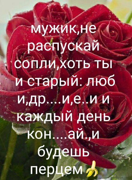 кне раёпУскгіЁй СоПлижоть ТБі истарый люб идр ие ии каждый день ИОН ай И перЁаф