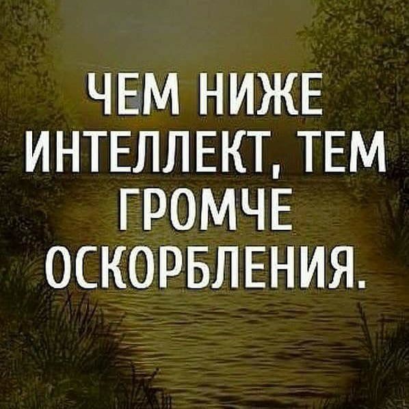 ЧЕМ НИЖЕ ИНТЕЛЛЕКТ ТЕМ ГРОМЧЕ ОСКОРБЛЕНИЯ