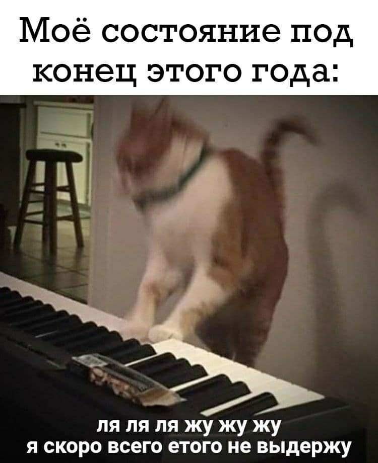 Моё состояние под конец этого года ля ля ля жу жу жу я скоро всего етого не выдержу