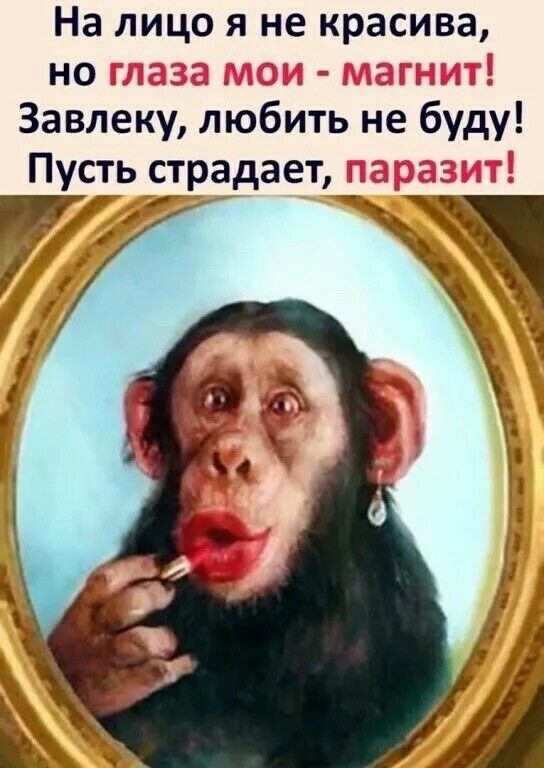 На лицо я не красива но Завлеку любить не буду Пусть страдает т _