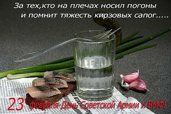 За техкто на плечах НОСИЛ ПОГОНЬ И ПОМНИТ ТЯЖЕСТЬ КИПЗОВЬЛХ СаПОГ