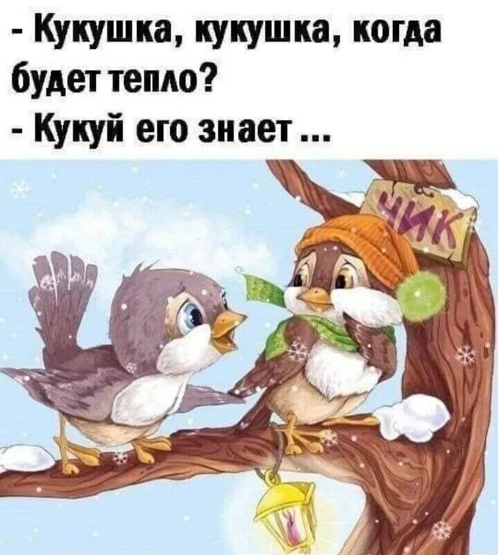 Кукушка кукушка когда будет тепло Кукуй его знает