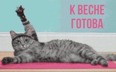 Квнснв _ готовд