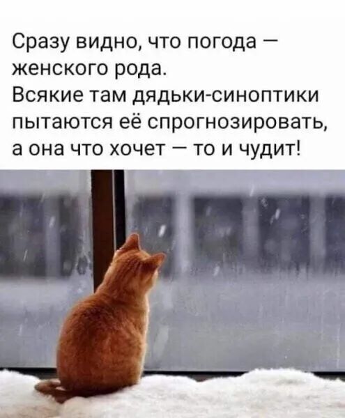 Сразу видно что погода женского рода Всякие там дядьки синоптики пытаются её спрогнозировать а она что хочет то и чудит
