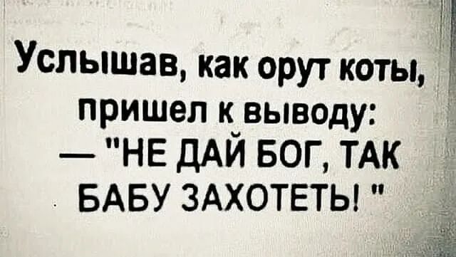 ЁЁ Услышав как орут коты пришел к выводу НЕ ДАЙ БОГ ТАК БАБУ ЗАХОТЕТЫ