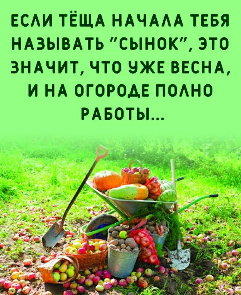 ЕСАИ ТЁЩА НАЧААА ТЕБЯ НАЗЫВАТЬ СЫНОК ЭТО ЗНАЧИТ ЧТО ЧЖЕ ВЕСНА И НА ОГОРОАЕ ПОАНО РАБОТЫ