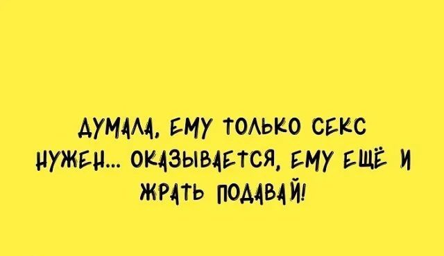 щитаю щеки псина