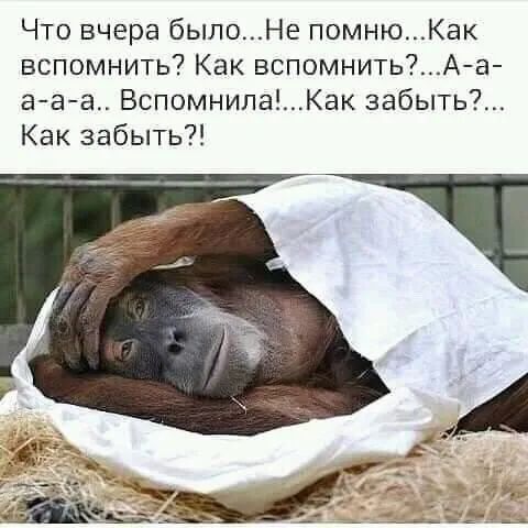 Что вчера былоНе помнюКак вспомнить Как вспомнитьАа ааа ВспомнилаКаК забыть Как забыть