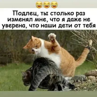 Помвц ты столько раз изменял мне что я даже не уверена что наши дети от тебя