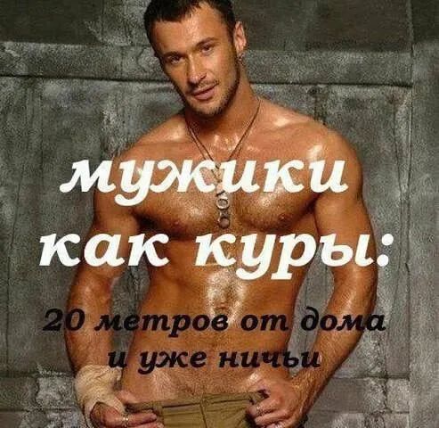3 муяащвй как куры