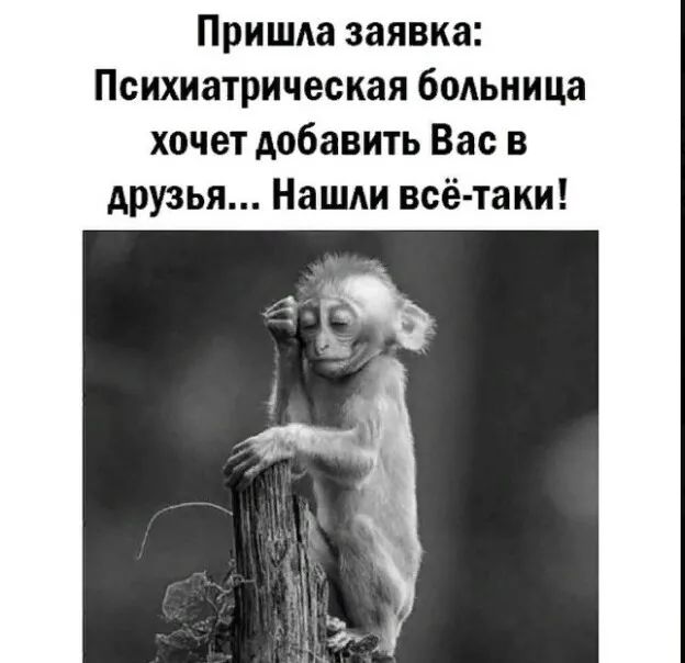 Пришла заявка Психиатрическая больница хочет добавить Вас в друзья Нашли всё таки