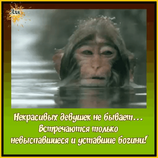 некрасивых дедушек ие быдшпь направится рюмка ишшпабшпшж и устаешие беглый