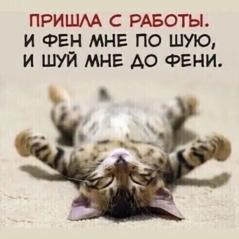 пришм с РАБОТЫ и ФЕН мне по шую и шуй мне до ФЕНИ