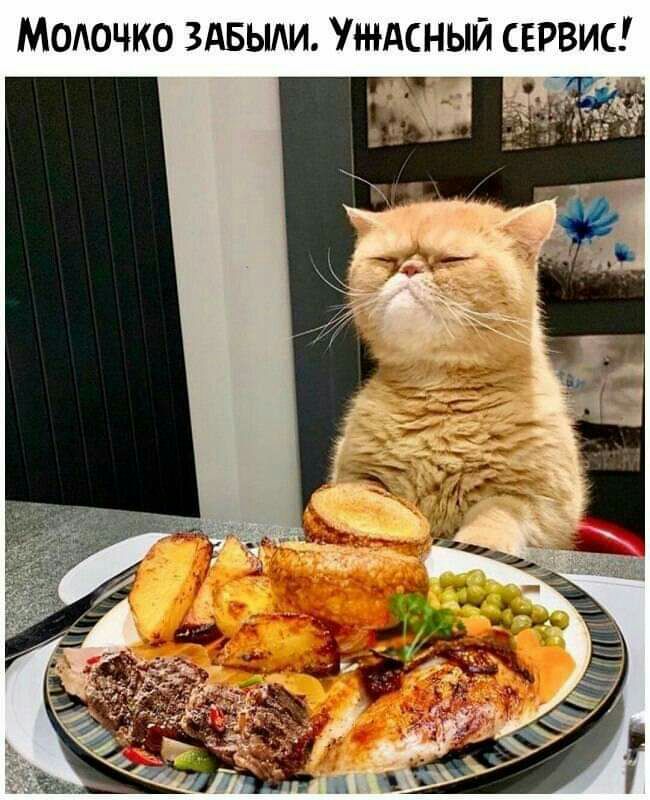 МОАОЧКО ЗАБЫЛИ Л НДСНЫЙ СЕРВИС