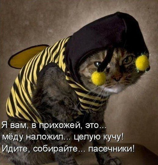 вЖрихвжей это _ маложиЁ_ целую _ собирайте пасечники