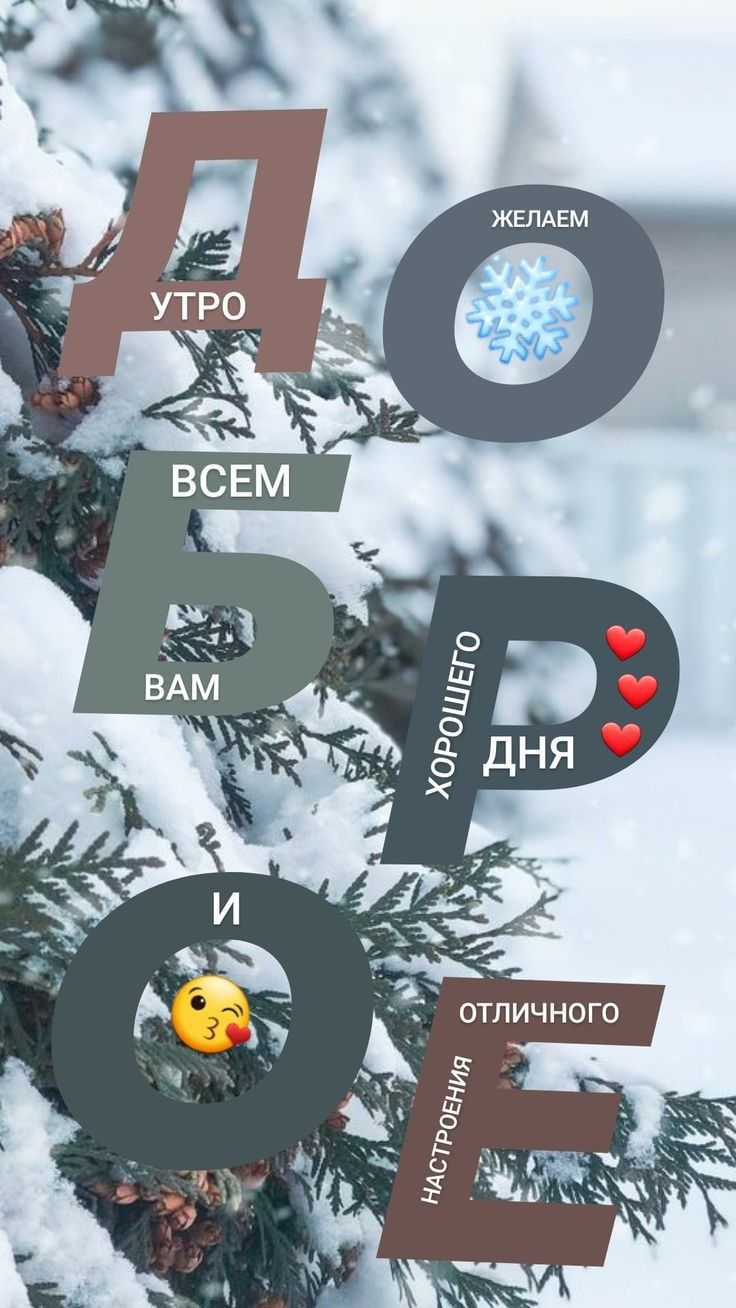 0 Г О Н Ч И Л Т о
