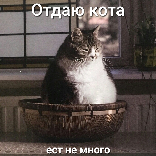 еетзне много