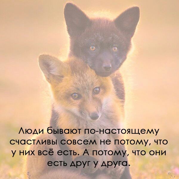 СПОНСОР СЗГОДНЯШНЭГО показа надувная кукла вуду Надувная кукла вуду МСТИТЬ ПРИЯТНО