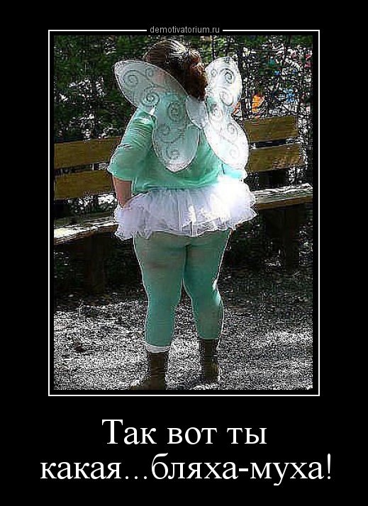 Так вот ты какая бляха муха