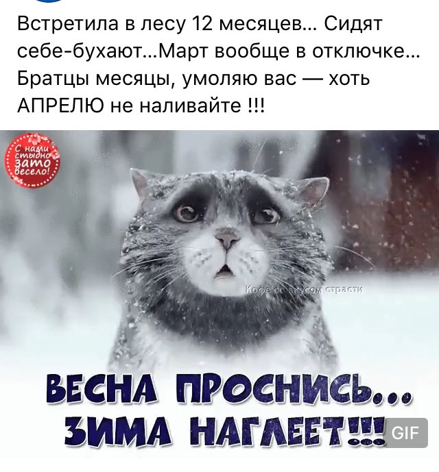 Встретипа в лесу 12 месяцев Сидят себе бухаютМарт вообще в отключке Братцы месяцы умоляю вас хоть АПРЕЛЮ не наливайте