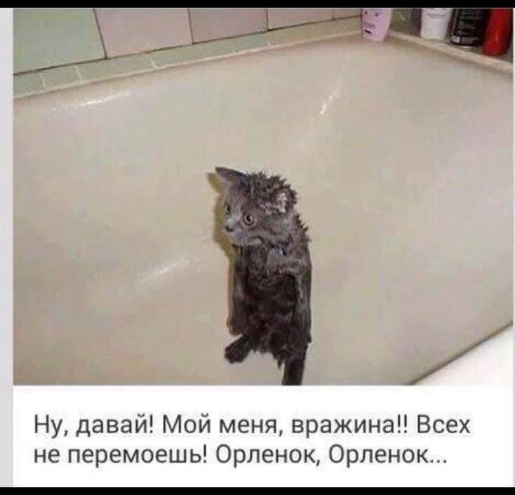 і Ну давай Мой меня вражина Всех не перемоешь Орленок Орленок