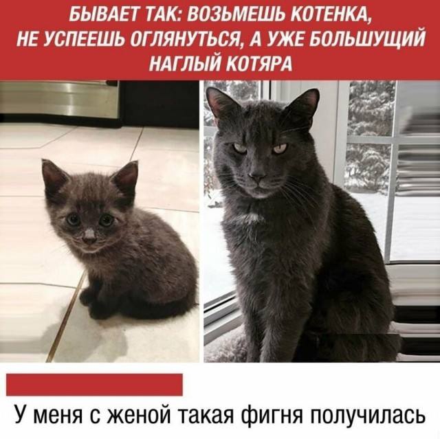 У меня с женой такая фигня получилась