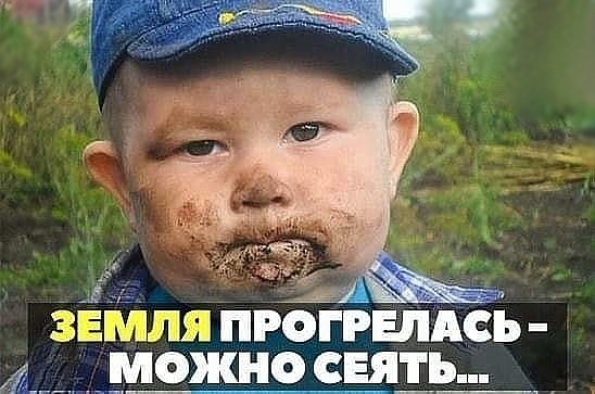 ЕШЩШ ПРОГРЕЛАСЪ МОЖНО СЕЯТЪ