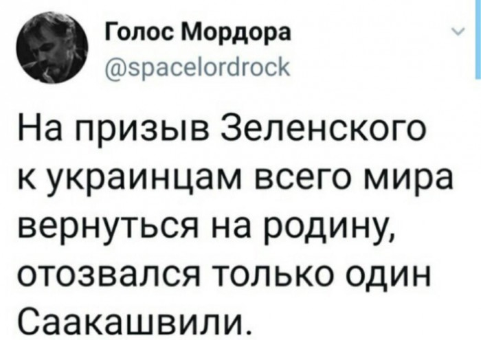 Голос Мордора расеогагоск На призыв Зеленского к украинцам всего мира вернуться на родину отозвался только один Саакашвили