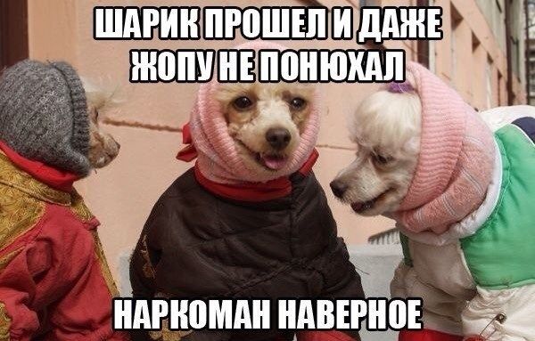 ПВНЮШШ