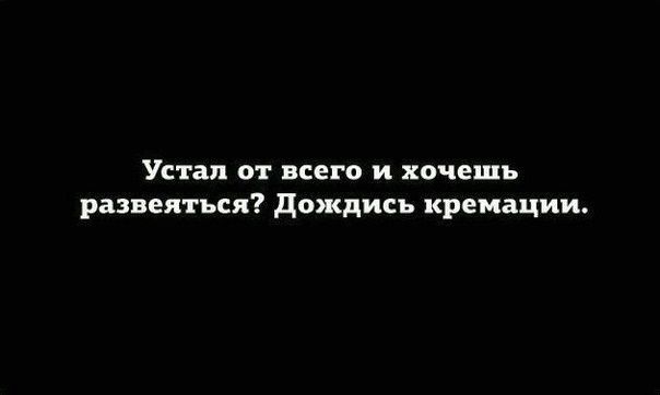 Устал от всего и хочешь развеяться дождись кремации