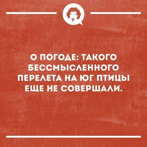 _Ф О ПОГОАЕ ТАКОГО БЕССМЫСАЕННОГО ПЕРЕАЕТА НА ЮГ ПТИЦЫ ЕЩЕ НЕ СОВЕРШААИ